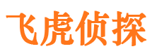 点军婚外情调查取证